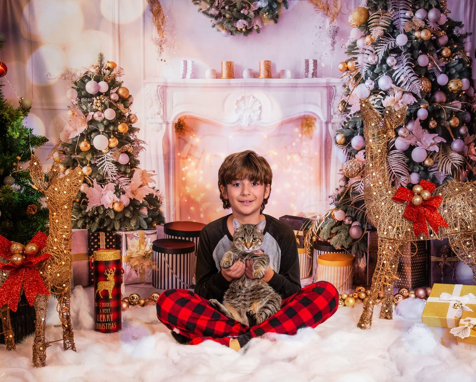 Kate Christmas White Room Pinetrees Gifts Fireplace Decoration Backdrop for Photography - Image 9